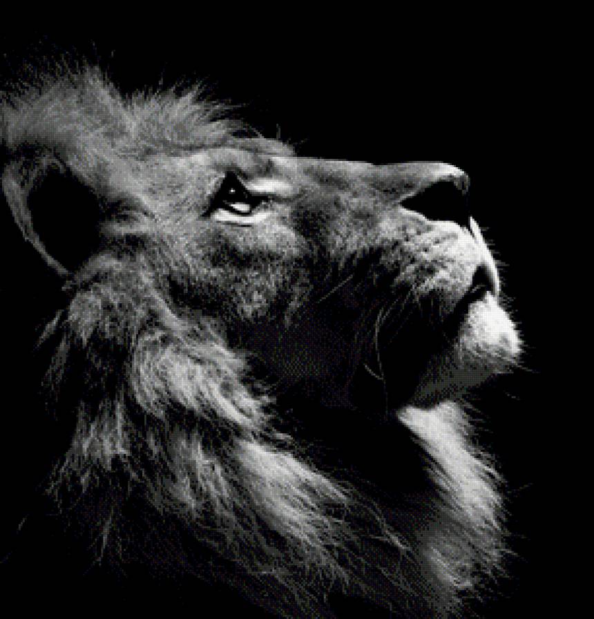 лева 1 - предпросмотр