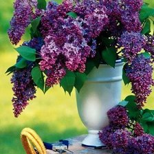 Схема вышивки «сирень»