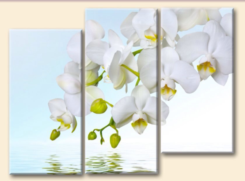 Триптих Орхидея - триптих - оригинал