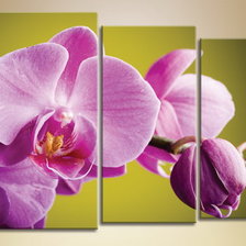 Схема вышивки «№682892»