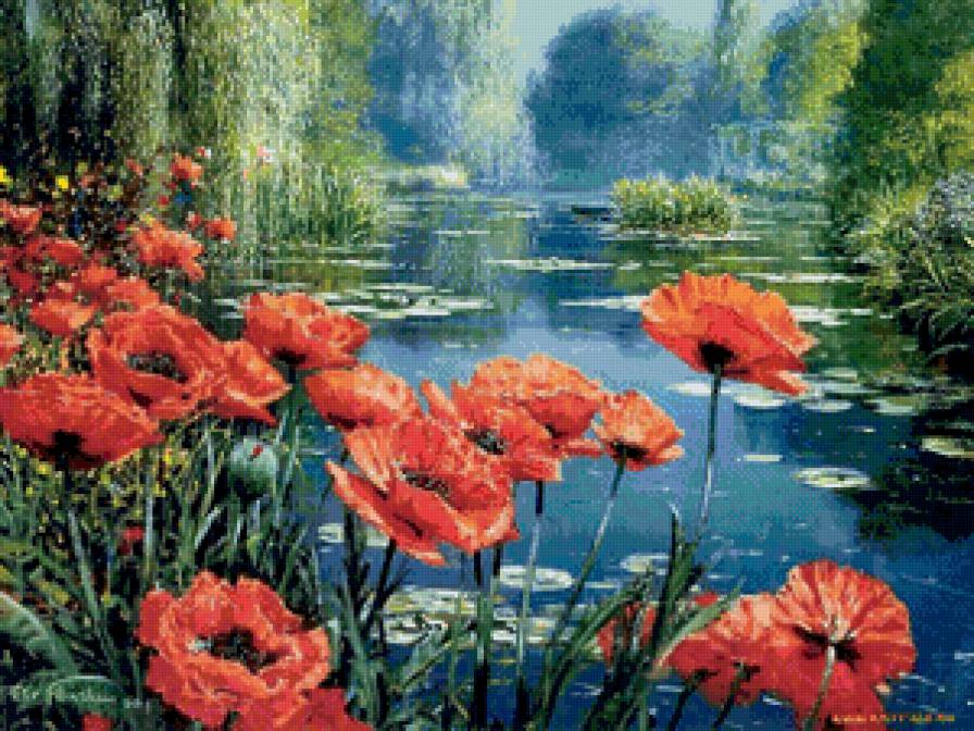 Красные маки - природа, пейзаж - предпросмотр