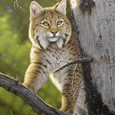 Схема вышивки «№683013»