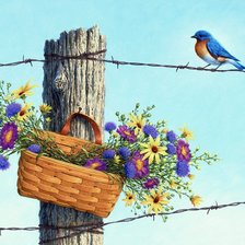 Схема вышивки «№683025»