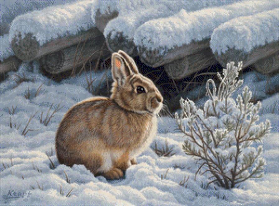 №683049 - предпросмотр