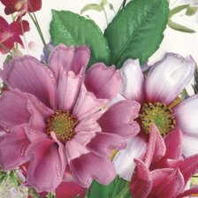 Схема вышивки «Цветы»