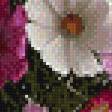 Предпросмотр схемы вышивки «космея» (№683179)