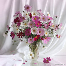 Схема вышивки «космея»