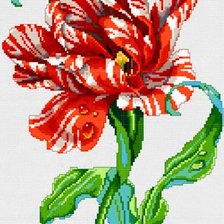 Схема вышивки «тигровый тюльпан»