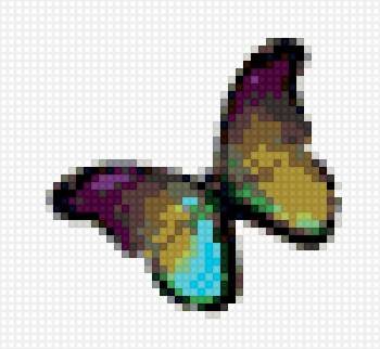 бабочка - предпросмотр