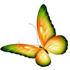 Схема вышивки «бабочка»