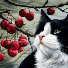 Схема вышивки «котик»