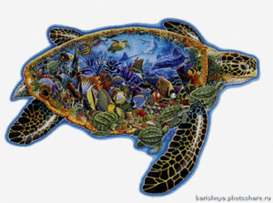 хаед. черепаха - хаед. черепаха - предпросмотр