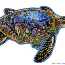 Схема вышивки «хаед. черепаха»