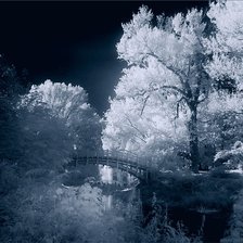 Схема вышивки «Зима»