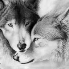 Схема вышивки «волки»