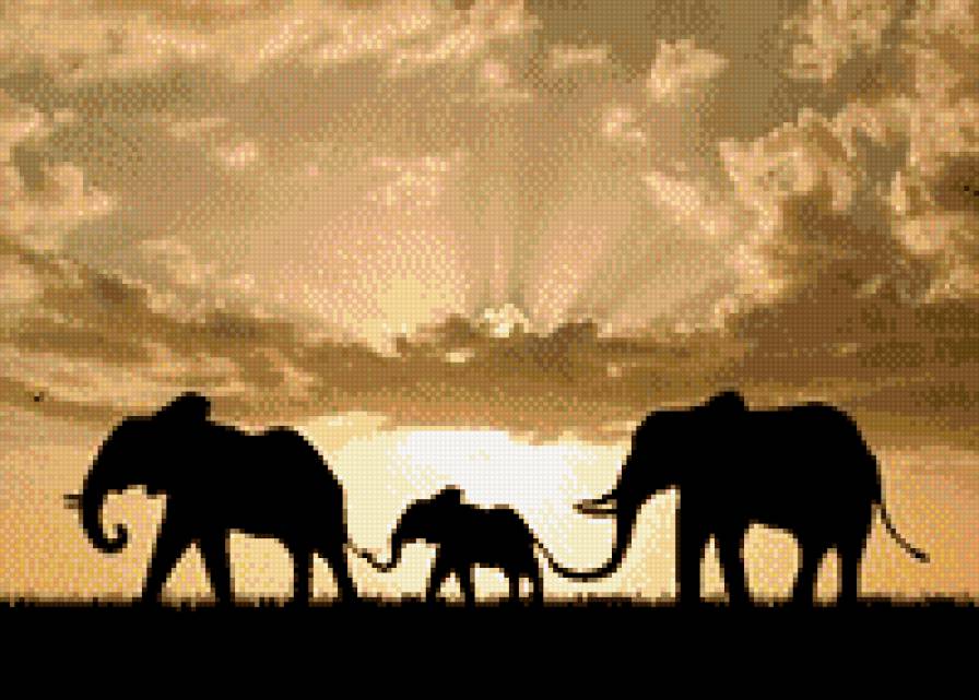 Рассвет - предпросмотр