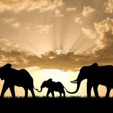 Схема вышивки «Рассвет»