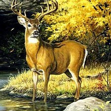 Схема вышивки «olen6»