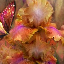 Схема вышивки «цветы»