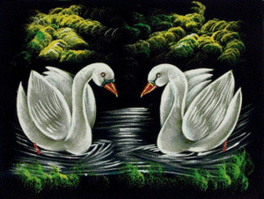 2468 - предпросмотр