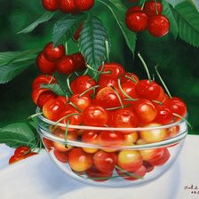 Схема вышивки «2482»