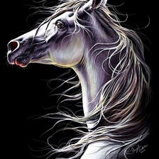 Схема вышивки «Лошадь»