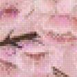 Предпросмотр схемы вышивки «2489» (№684156)