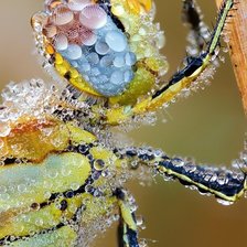 Схема вышивки «124567»