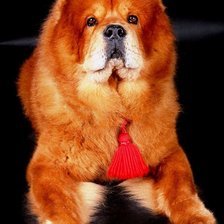 Схема вышивки «Новый РЭД»