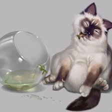 кот и аквариум