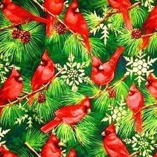 Схема вышивки «подушка с кардиналами»