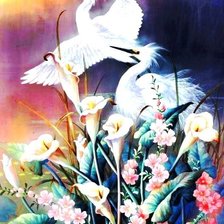 Схема вышивки «пано птицы»