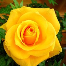 Схема вышивки «№684686»