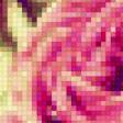 Предпросмотр схемы вышивки «Роза» (№684712)