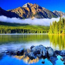 Схема вышивки «№684729»