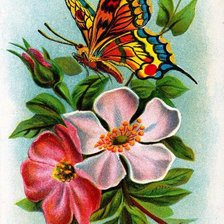 Схема вышивки «№685098»