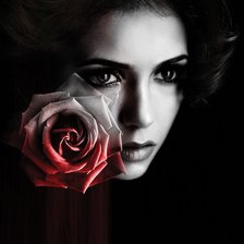 Схема вышивки «Дневники вампира»