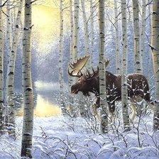 Лось в лесу.