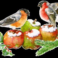 Схема вышивки «Снегири»