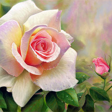 Схема вышивки «цветы»