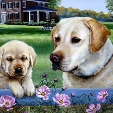 Схема вышивки «2502»