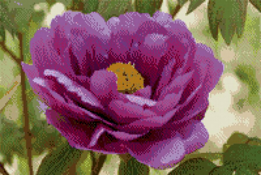 123 - 113 - предпросмотр