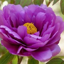 Схема вышивки «123»