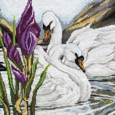 Схема вышивки «пара лебедей»