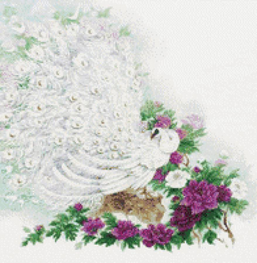 павлин2 - предпросмотр