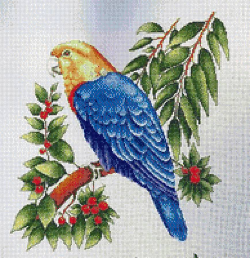 ПОПУГАЙ - предпросмотр