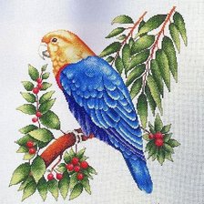 Схема вышивки «ПОПУГАЙ»