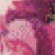 Предпросмотр схемы вышивки «ПИОНЫ» (№685870)
