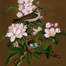 Схема вышивки «№685965»