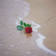 Схема вышивки «роза»